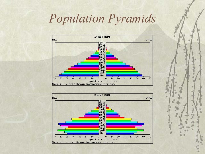 Population Pyramids 