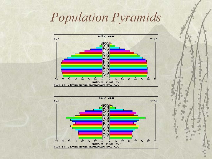 Population Pyramids 