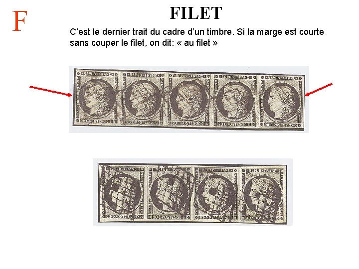F FILET C’est le dernier trait du cadre d’un timbre. Si la marge est
