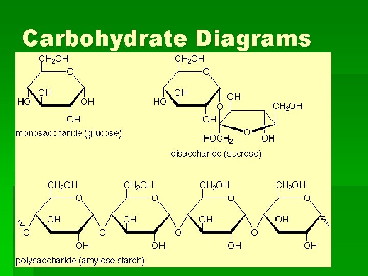 Carbohydrate Diagrams 