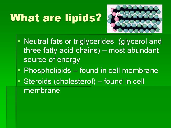 What are lipids? § Neutral fats or triglycerides (glycerol and three fatty acid chains)