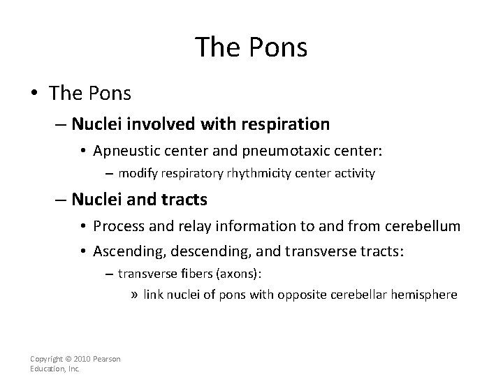The Pons • The Pons – Nuclei involved with respiration • Apneustic center and