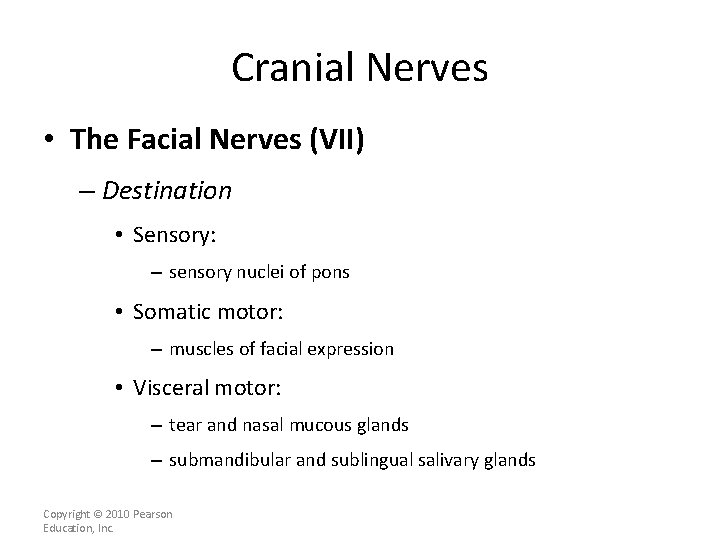Cranial Nerves • The Facial Nerves (VII) – Destination • Sensory: – sensory nuclei