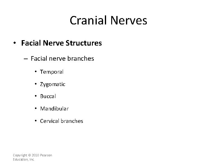 Cranial Nerves • Facial Nerve Structures – Facial nerve branches • Temporal • Zygomatic