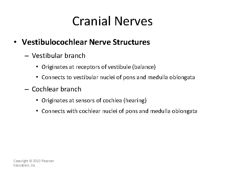 Cranial Nerves • Vestibulocochlear Nerve Structures – Vestibular branch • Originates at receptors of