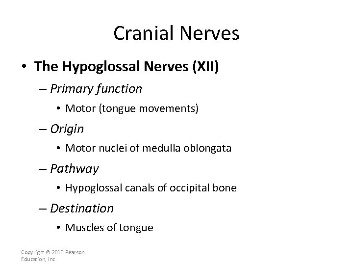 Cranial Nerves • The Hypoglossal Nerves (XII) – Primary function • Motor (tongue movements)