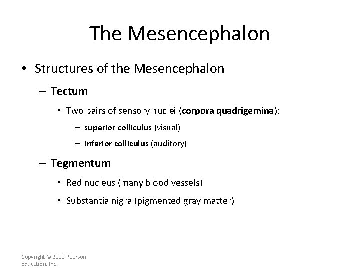 The Mesencephalon • Structures of the Mesencephalon – Tectum • Two pairs of sensory