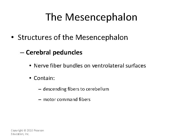 The Mesencephalon • Structures of the Mesencephalon – Cerebral peduncles • Nerve fiber bundles