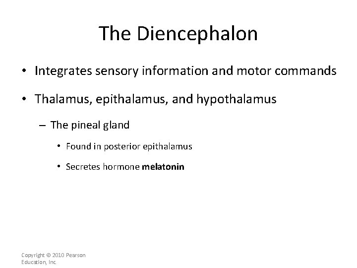 The Diencephalon • Integrates sensory information and motor commands • Thalamus, epithalamus, and hypothalamus