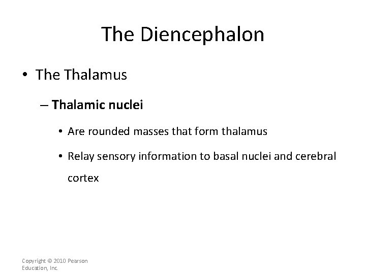 The Diencephalon • The Thalamus – Thalamic nuclei • Are rounded masses that form