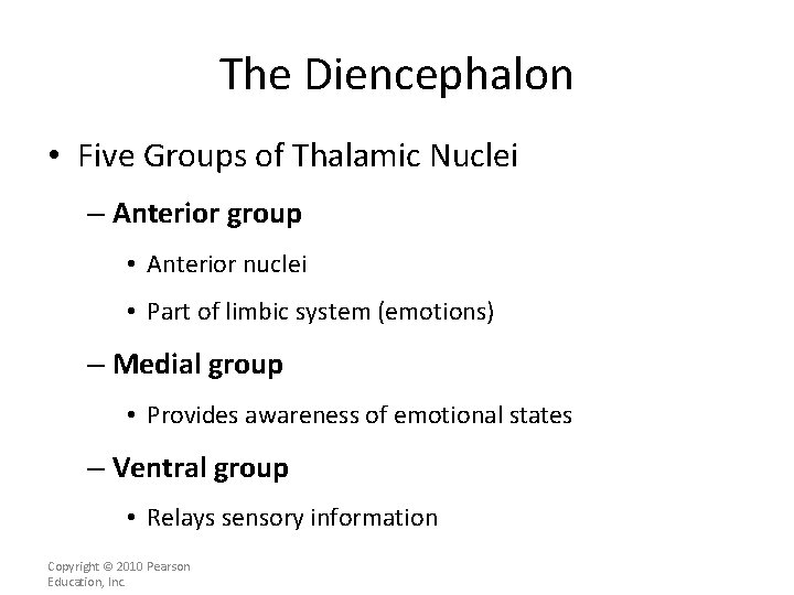 The Diencephalon • Five Groups of Thalamic Nuclei – Anterior group • Anterior nuclei