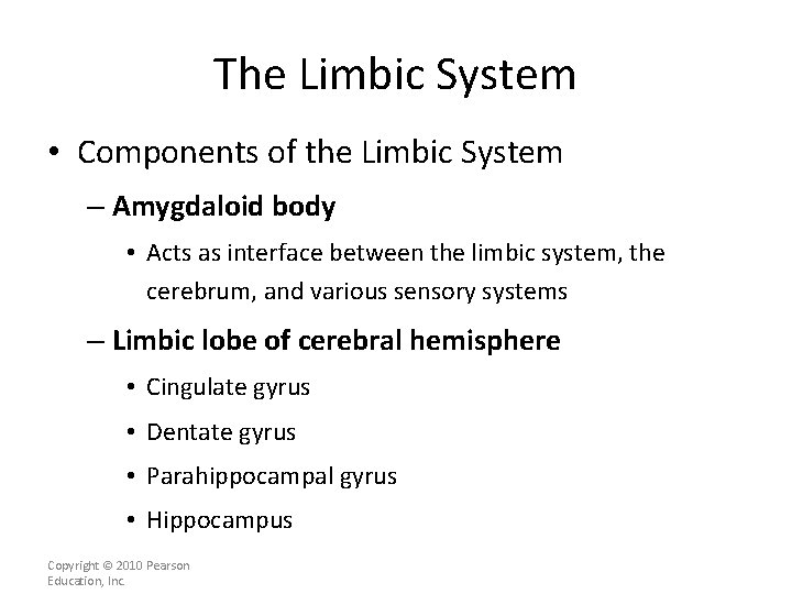 The Limbic System • Components of the Limbic System – Amygdaloid body • Acts