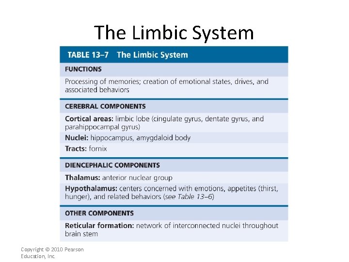 The Limbic System Copyright © 2010 Pearson Education, Inc. 