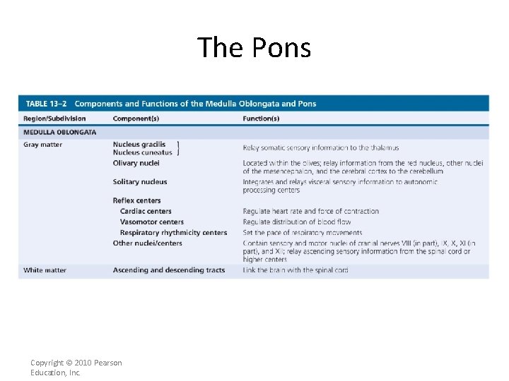 The Pons Copyright © 2010 Pearson Education, Inc. 