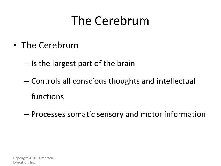 The Cerebrum • The Cerebrum – Is the largest part of the brain –