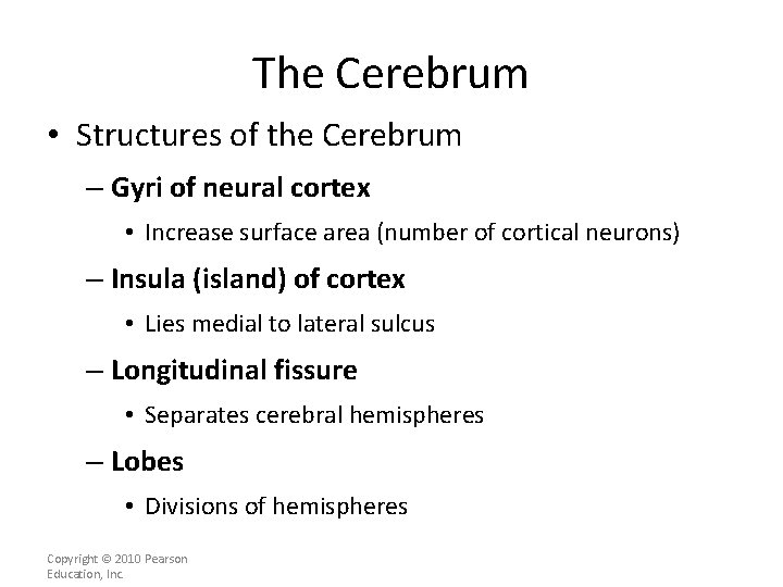 The Cerebrum • Structures of the Cerebrum – Gyri of neural cortex • Increase