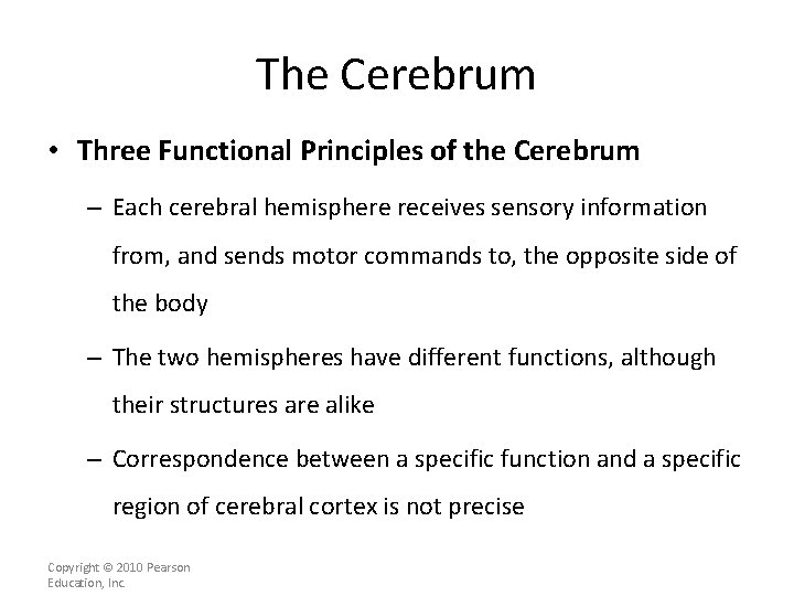 The Cerebrum • Three Functional Principles of the Cerebrum – Each cerebral hemisphere receives