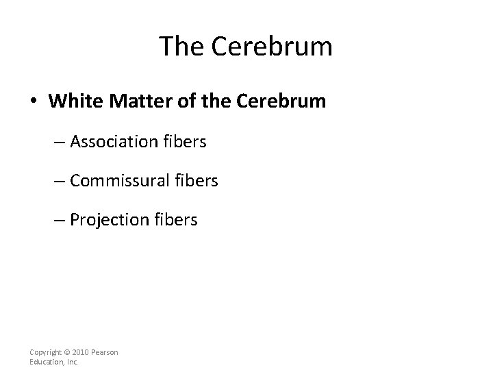 The Cerebrum • White Matter of the Cerebrum – Association fibers – Commissural fibers