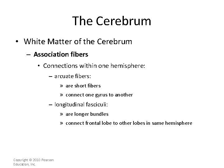 The Cerebrum • White Matter of the Cerebrum – Association fibers • Connections within