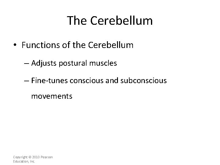 The Cerebellum • Functions of the Cerebellum – Adjusts postural muscles – Fine-tunes conscious