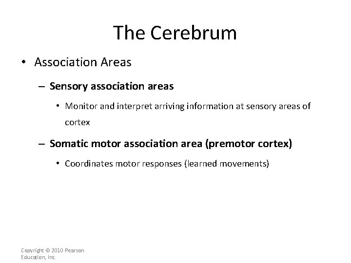 The Cerebrum • Association Areas – Sensory association areas • Monitor and interpret arriving