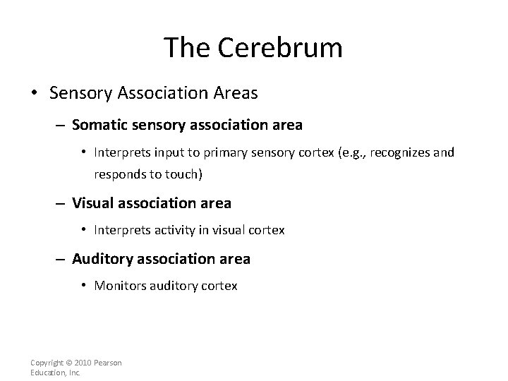 The Cerebrum • Sensory Association Areas – Somatic sensory association area • Interprets input