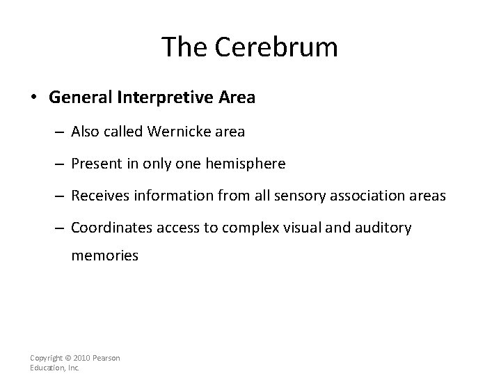 The Cerebrum • General Interpretive Area – Also called Wernicke area – Present in