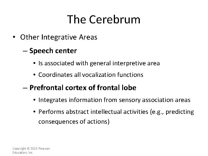 The Cerebrum • Other Integrative Areas – Speech center • Is associated with general