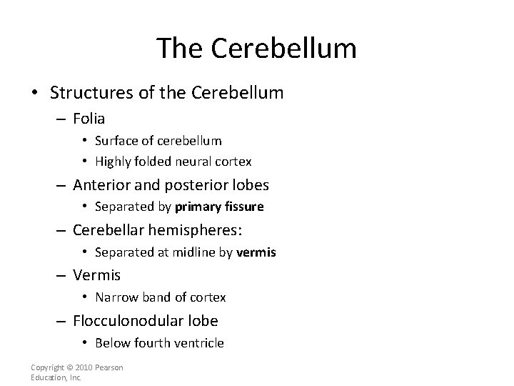 The Cerebellum • Structures of the Cerebellum – Folia • Surface of cerebellum •