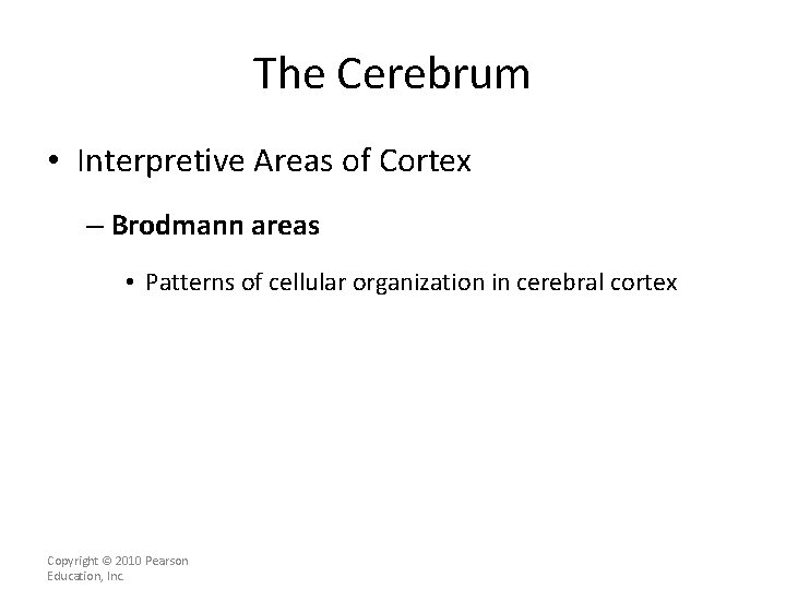 The Cerebrum • Interpretive Areas of Cortex – Brodmann areas • Patterns of cellular