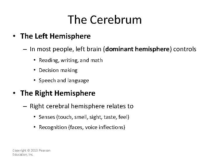 The Cerebrum • The Left Hemisphere – In most people, left brain (dominant hemisphere)