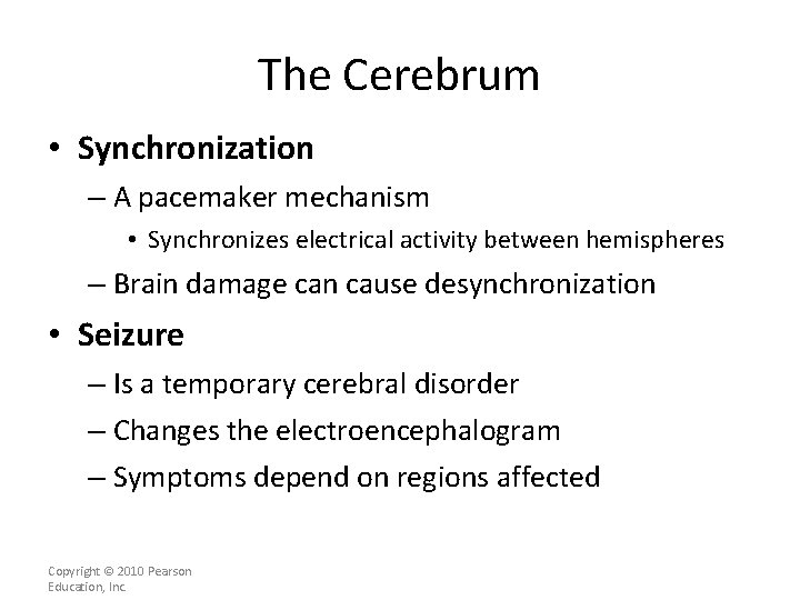 The Cerebrum • Synchronization – A pacemaker mechanism • Synchronizes electrical activity between hemispheres