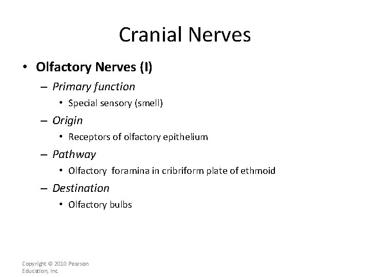 Cranial Nerves • Olfactory Nerves (I) – Primary function • Special sensory (smell) –