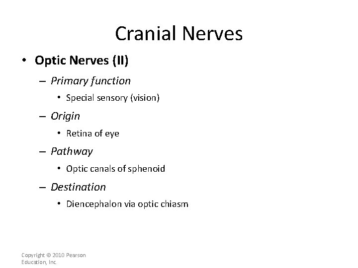 Cranial Nerves • Optic Nerves (II) – Primary function • Special sensory (vision) –