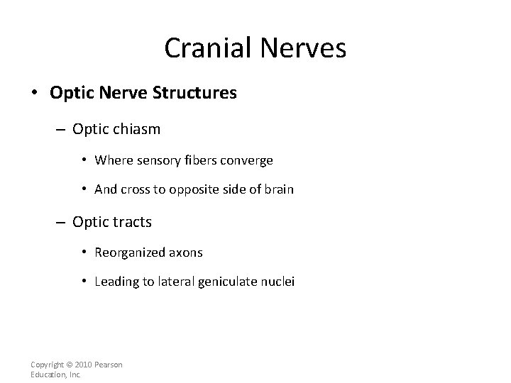 Cranial Nerves • Optic Nerve Structures – Optic chiasm • Where sensory fibers converge