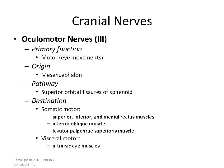 Cranial Nerves • Oculomotor Nerves (III) – Primary function • Motor (eye movements) –