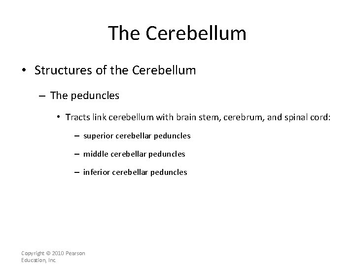 The Cerebellum • Structures of the Cerebellum – The peduncles • Tracts link cerebellum