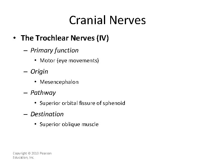 Cranial Nerves • The Trochlear Nerves (IV) – Primary function • Motor (eye movements)