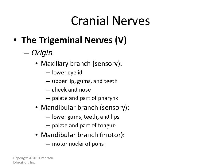 Cranial Nerves • The Trigeminal Nerves (V) – Origin • Maxillary branch (sensory): –
