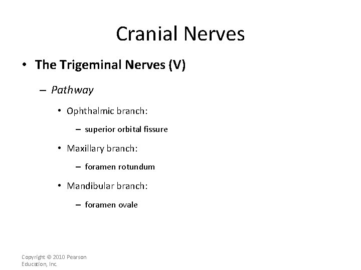 Cranial Nerves • The Trigeminal Nerves (V) – Pathway • Ophthalmic branch: – superior