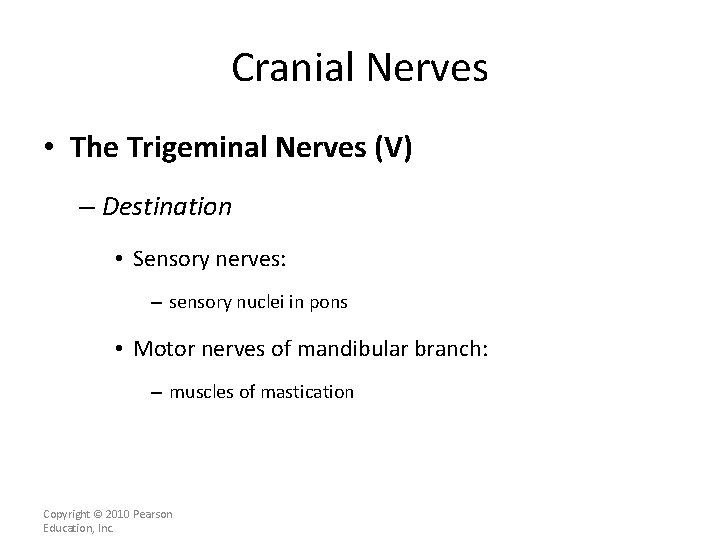 Cranial Nerves • The Trigeminal Nerves (V) – Destination • Sensory nerves: – sensory