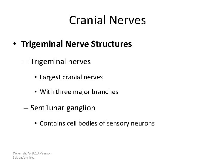 Cranial Nerves • Trigeminal Nerve Structures – Trigeminal nerves • Largest cranial nerves •