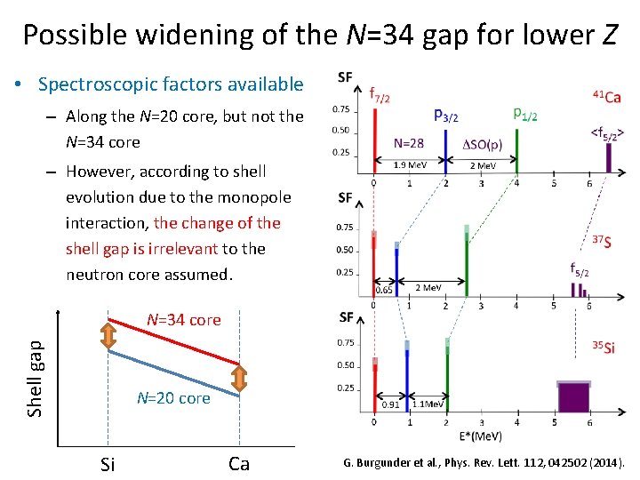 Possible widening of the N=34 gap for lower Z • Spectroscopic factors available –