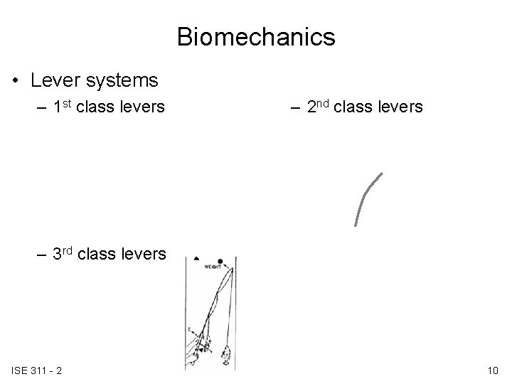 Biomechanics • Lever systems – 1 st class levers – 2 nd class levers Biomechanics • Lever systems – 1 st class levers – 2 nd class levers