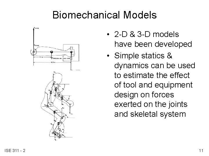Biomechanical Models • 2 -D & 3 -D models have been developed • Simple Biomechanical Models • 2 -D & 3 -D models have been developed • Simple