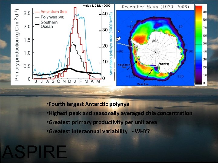 Arrigo & Dikjen 2003 • Fourth largest Antarctic polynya • Highest peak and seasonally