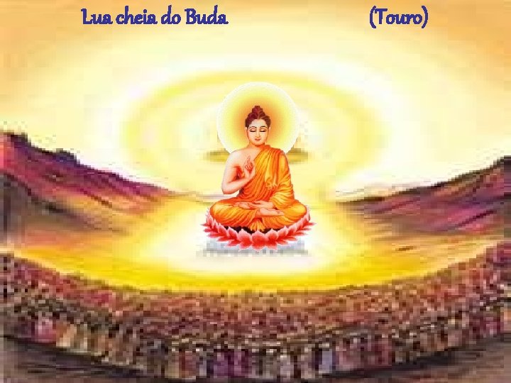 Lua cheia do Buda (Touro) 