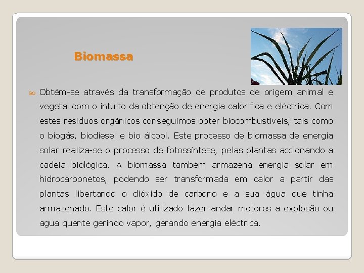 Biomassa Obtém-se através da transformação de produtos de origem animal e vegetal com o