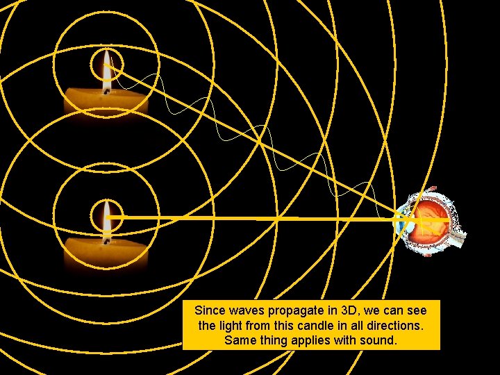 Since waves propagate in 3 D, we can see the light from this candle