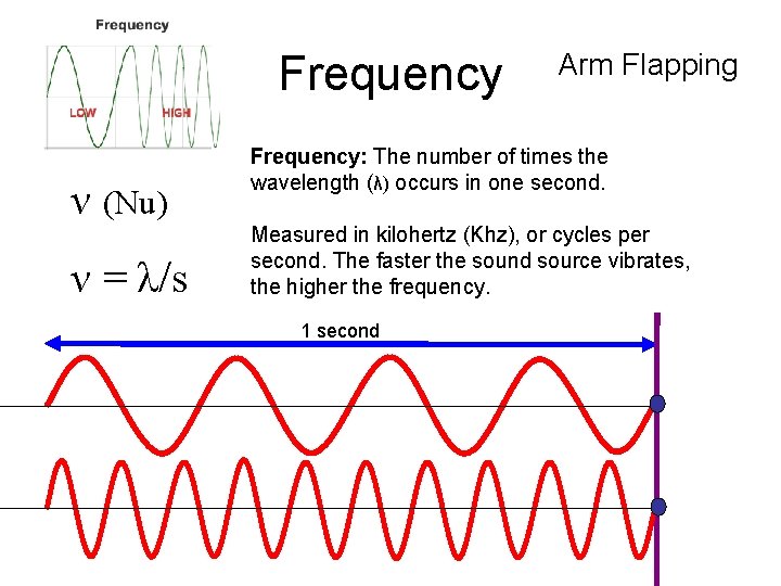 Frequency ν (Nu) ν = λ/s Arm Flapping Frequency: The number of times the